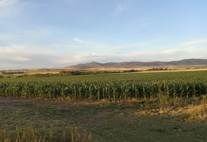 Vendo 64 has Coronel Pringles con arroyo Sierra de la Ventana, foto 2